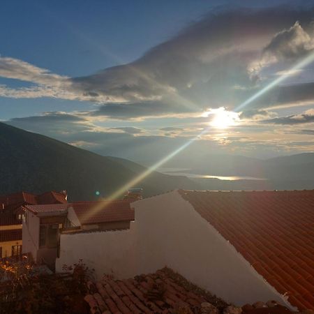 Tholos Hotel Delphi Ngoại thất bức ảnh